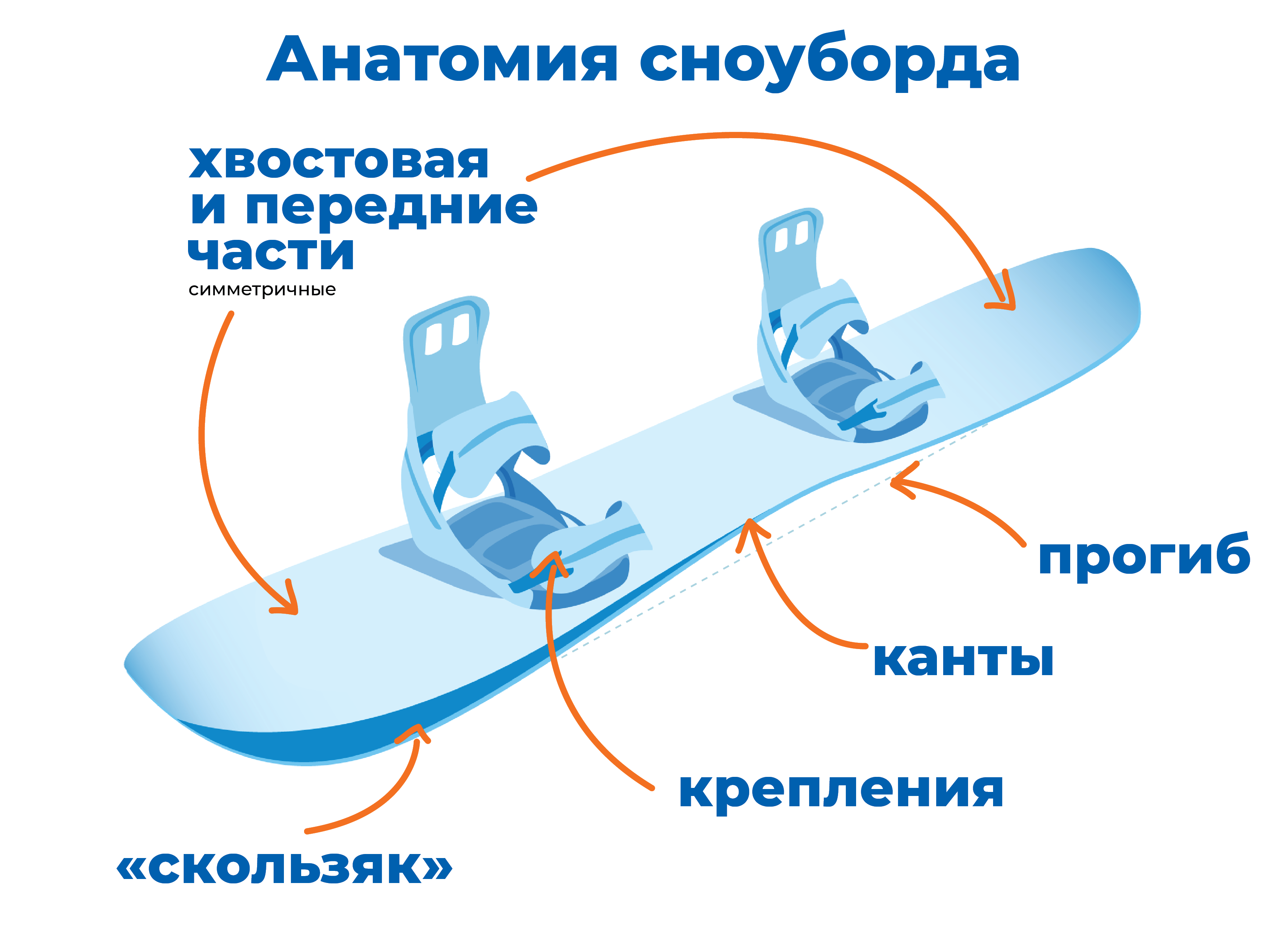 Как выбрать крепления для сноуборда